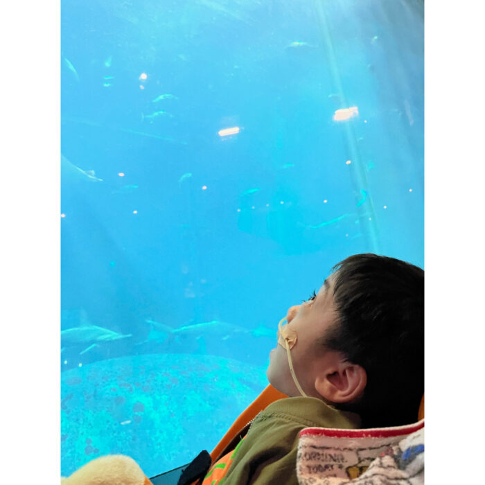 葛西臨海水族館_遠足